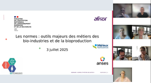 WEBINAIRE AFNOR BGB.mp4