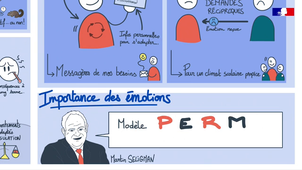 regulation des emotions.mp4