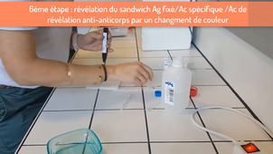 Test ELISA