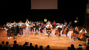 L'ensemble à cordes