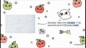 Le_Participe_Passe_et_ses_accords.mp4