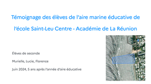 Témoignage d'élèves de seconde Aire éducative.mp4