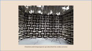 Capsule vidéo Microcosmos.mp4