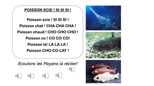 TRACE MS - Phono Poisson Scie scie scie!.mp4