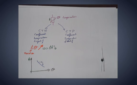 arduino-09-Presentation-CTN_CTP.mp4-clean.mp4