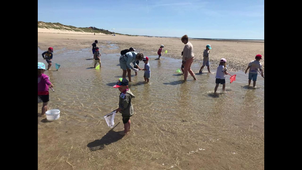 DIAPORAMA journée plage 24 06 .mp4