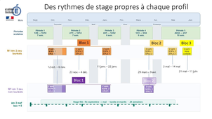 Montage_presentation_stages_SOPA_M2E.mp4