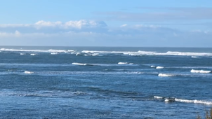 PXL_20251030_082601141.mp4