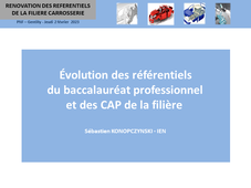 Rénovation Filière Carrosserie - 03 - Évolution des référentiels du baccalauréat professionnel et des CAP