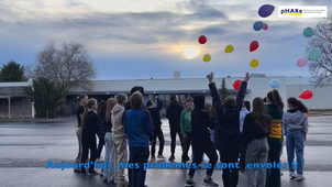 NAH college Jean Moulin Saint Memmie 51 %22Oser en parler%22.mp4