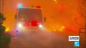 DYNAMIQUE ET RESILIENCE DES ECOSYSTEMES-LA FORET