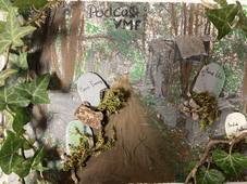 LES CIMETIERES DORMANTS DE CAEN.wav