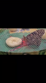 chrysalides et papillons.mp4