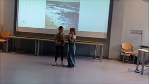 spectacle les oiseaux marins.mp4