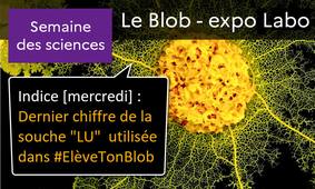 Le Blob à l'honneur pendant la semaine des Sciences