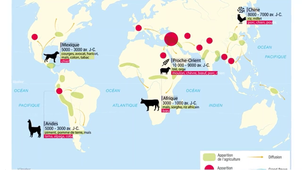 Vidéo 6e-H1-1-Débuts humanité.mp4