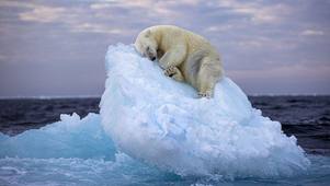 13 arctique.mp3