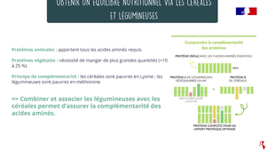 04 Sabarot Questions