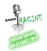 Radio Racine - Emission spéciale NAH - 