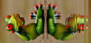 Captation 3/4 J3 FodeFo EVAR-S du 14-10-2025