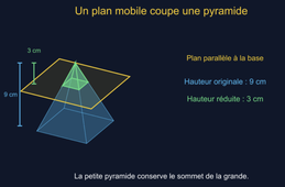Effets d'un agrandissement/réduction sur les aires et les volumes
