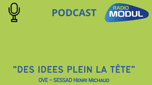 Des idées plein la tête-SESSAD Michaud - Emission finale