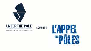 Appel des pôles 2026 - Soutien Under The Pole