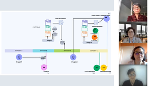 Webinaire BTS Biologie médicale : épreuves certificatives