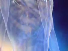 10-La chimiothérapie anticancéreuse 1.mp4