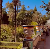 Sortie culturelle à l'Alcazar.mp4