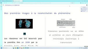 Intégrer une partie de séance Canoprof à un parcours Éléa et bénéficier des options diaporama et dys