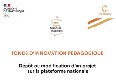 FIP - plateforme nationale de dépôt des projets.mp4