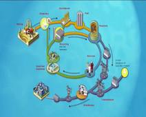 AREVA : fuel business unit gb