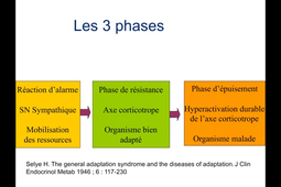 Stress1