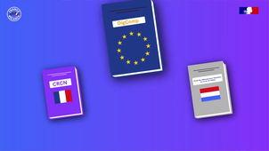 Le Cadre de référence des compétences numériques (CRCN).mp4