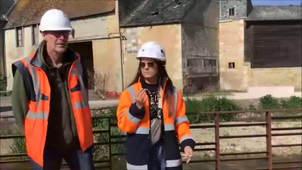 Les arbres et plantes du parc