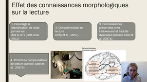 Intervention P. COLE - LEXIQUE ET MORPHOLOGIE Plan français 13 novembre 2020.mp4