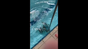 activité2-palier2.mp4