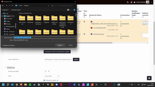 #43 - Télécharger tous les travaux des étudiants dans un seul dossier.mp4