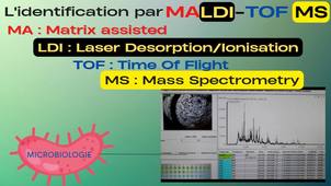 L'identification par MALDI-TOF MS (spectromètre de masse) au laboratoire de microbiologie.