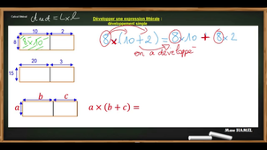 CALCUL LITTERAL - Développement simple