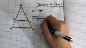 Thalès : retrouver les rapports égaux