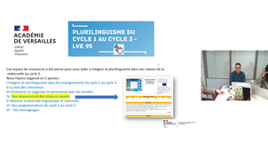 REPLAY Webinaire 13 Plurilinguisme.m4v