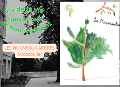 Micocoulier.mp3