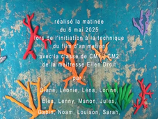 Camélia et Simon sauvent un phoque.mov