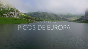 Los Picos de Europa