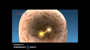 Le système de récompense.mp4