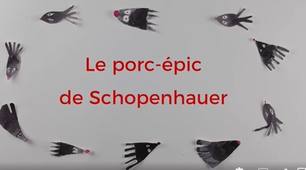 le_porc_epic_de_schopenhauer (1080p).mp4