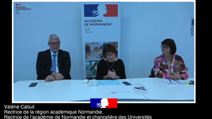 Vidéodiffusion Résultats 1D