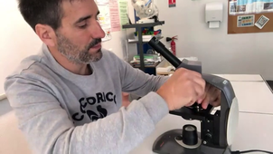 vidéo microscope.mp4